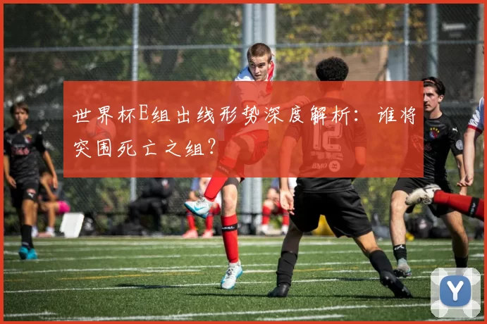 世界杯E组出线形势深度解析：谁将突围死亡之组？