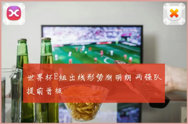 世界杯E组出线形势渐明朗 两强队提前晋级