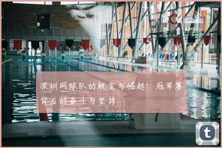 深圳网球队的蜕变与崛起:冠军赛背后的奋斗与坚持