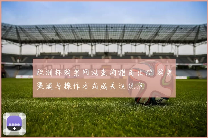 欧洲杯购票网站查询指南出炉 购票渠道与操作方式成关注焦点