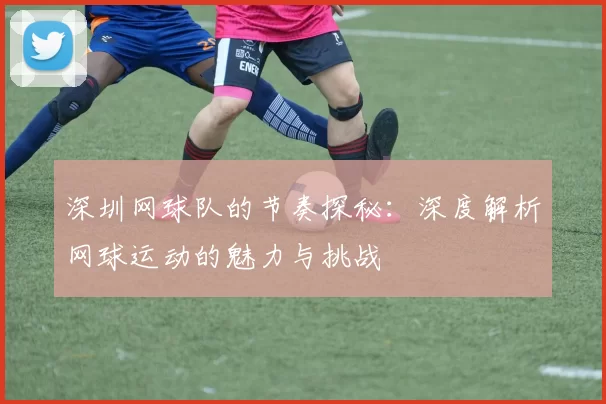 深圳网球队的节奏探秘:深度解析网球运动的魅力与挑战