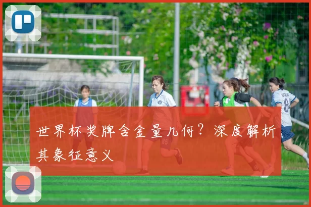 世界杯奖牌含金量几何?深度解析其象征意义