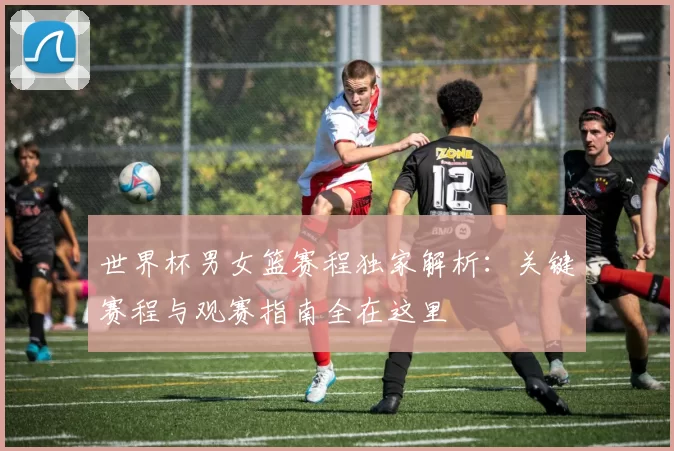 世界杯男女篮赛程独家解析：关键赛程与观赛指南全在这里