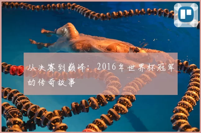 从决赛到巅峰：2016年世界杯冠军的传奇故事